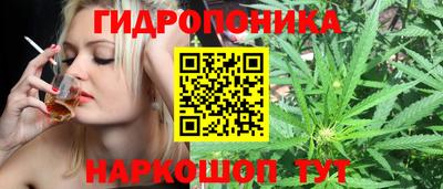 стафф Кинель
