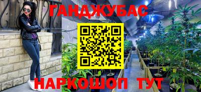 прущие грибы Камышлов