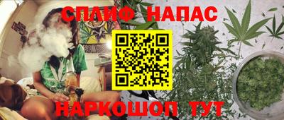 прущие грибы Камышлов