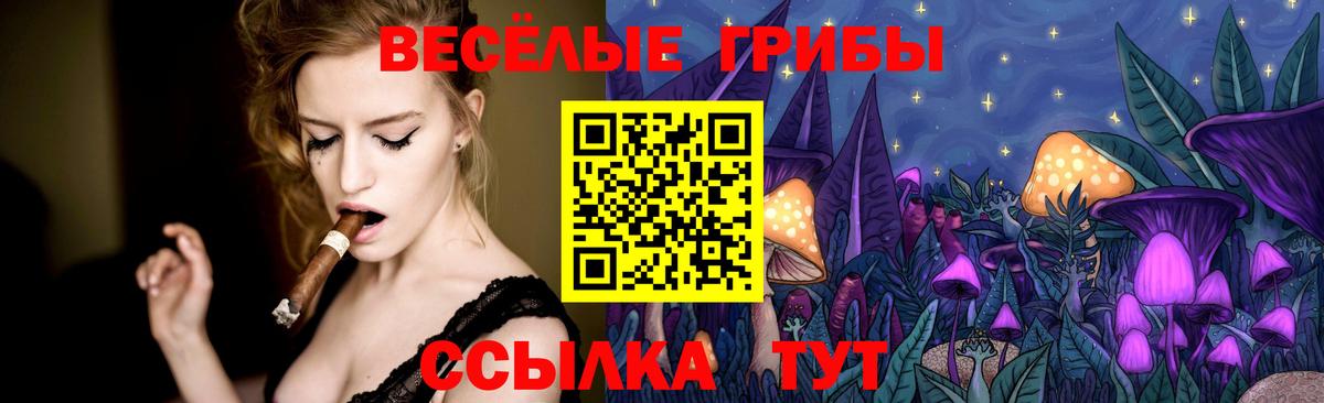 Псилоцибиновые грибы Cubensis  Псилоцибиновые грибы мицелий  Вход с VPN  Краснокаменск 